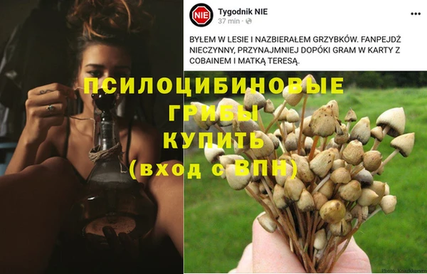 а пвп мука Алексин