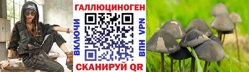 закладки  Комсомольск  нарко площадка телеграм  Галлюциногенные грибы ЛСД 